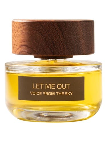 Let Me Out - اجازه بده بیرون