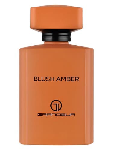 Blush Amber - رژگونه کهربایی