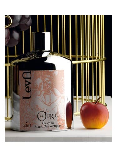 Leva