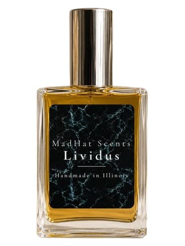 Lividus