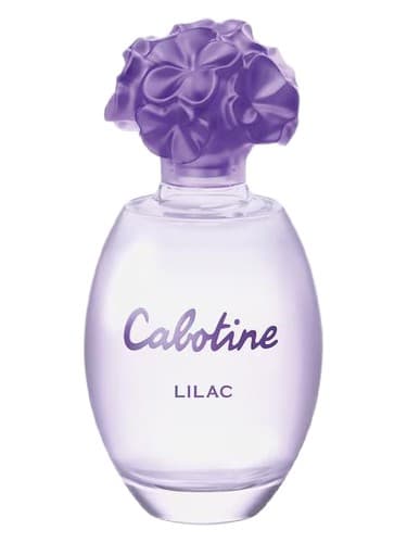 Cabotine Lilac - یاس کابوتین