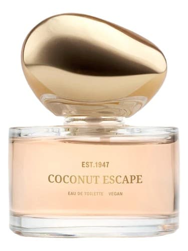 Coconut Escape