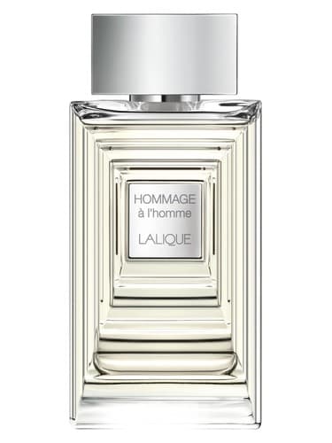 Hommage à l'Homme Eau de Toilette - اوماژ آ لهوم او دو تویلت