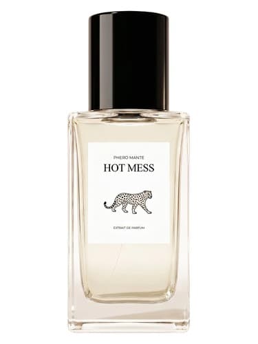 Hot Mess - آشغال داغ
