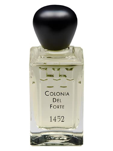 Colonia del Forte 1452 - کلونیا دل فورته 1452