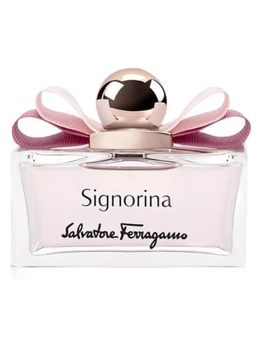 Signorina - سینیورینا