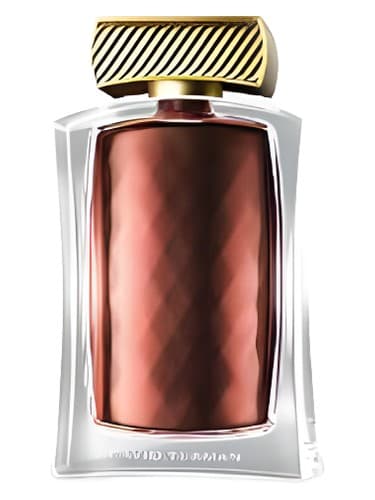David Yurman Limited Edition - دیوید یورمن لیمیتد ادیشن