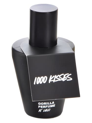 1000 Kisses - 1000 کیسز