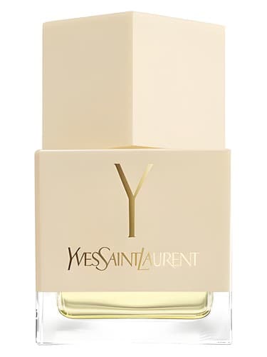 La Collection Y - لا کالکشن وای
