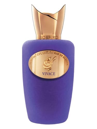 Vivace - ویواچه