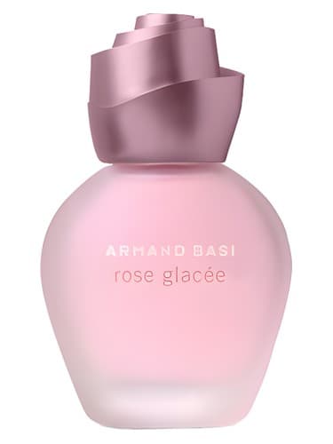 Rose Glacee - رز گلاسه