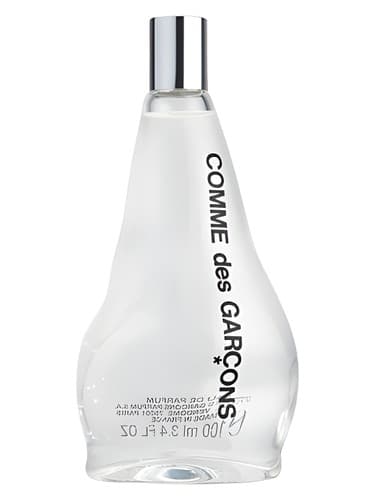 Comme des Garcons 2011 - کام دس گارکونس ۲۰۱۱