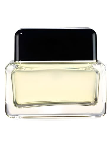 Marc Jacobs Men - مارک جیکوبز من