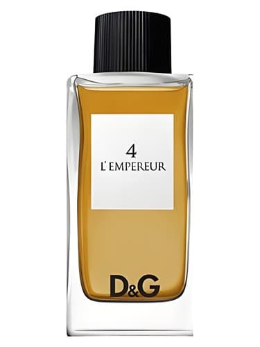 D&G Anthology L'Empereur 4 - دی اند جی آنتولوژی لمپرور 4