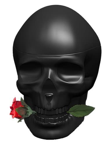 Ed Hardy Skulls & Roses for Him - اد هاردی اسکالز اند رزز فور هیم