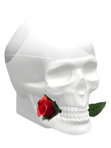 Ed Hardy Skulls & Roses for Her - اد هاردی اسکالز اند رزز فور هر