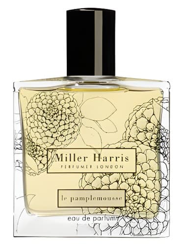 Le Pamplemousse