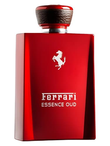 Essence Oud - اسنس عود