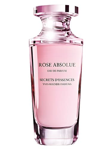 Rose Absolue - رز ابسولو