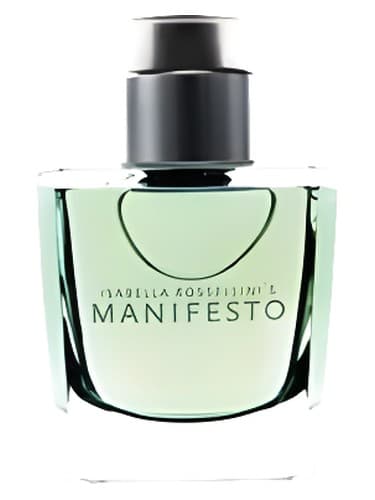 Manifesto