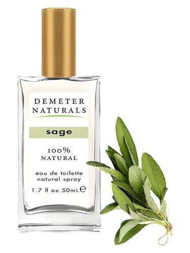 Sage - مریم گلی
