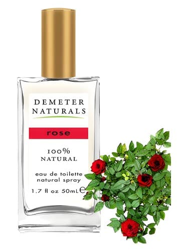 Rose - رز