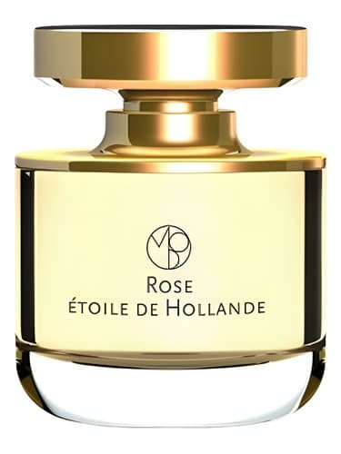 Rose Etoile de Hollande - رز اتویل دو اولاند