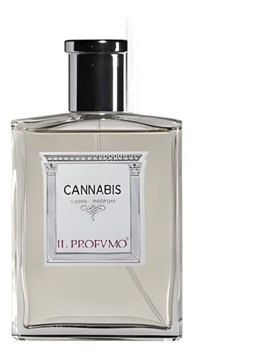 Osmo Scents Cannabis