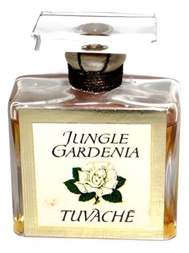 Jungle Gardenia - جانگل گاردنیا