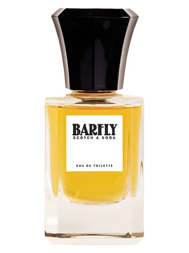 Barfly - بارفلای