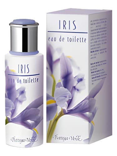 Iris - زنبق