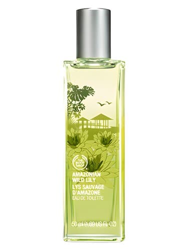 Amazonian Wild Lily - آمازونین وایلد لیلی