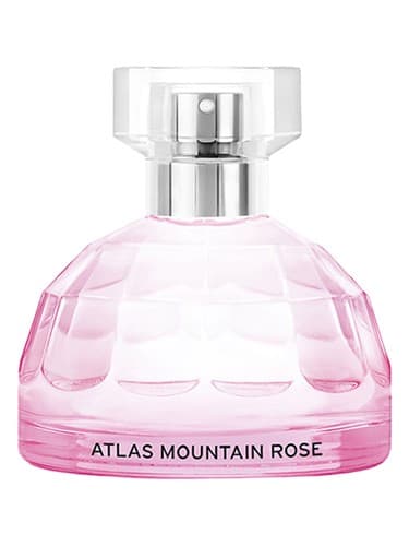 Atlas Mountain Rose - اطلس ماونتن رز