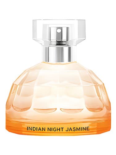 Indian Night Jasmine - ایندین نایت جاسمین