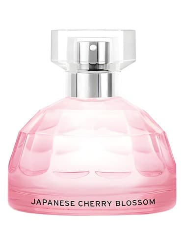 Japanese Cherry Blossom - ژاپنیز چری بلاسم