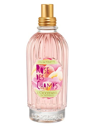 Rose des Champs
