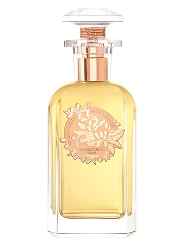 Orangers en Fleurs - اورانژر ان فلور