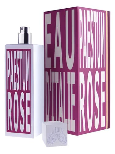 Paestum Rose - پاستوم رز