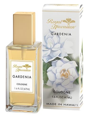 Gardenia - گاردنیا