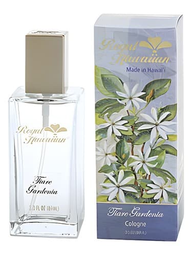 Tiare Gardenia - تیاره گاردنیا