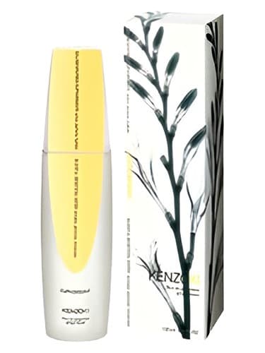 KenzoKi Ginger Flower (Euphoric) - کنزوکی جینجر فلاور (ایوفوریک)