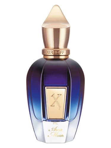Ascot Moon - آسکوت مون