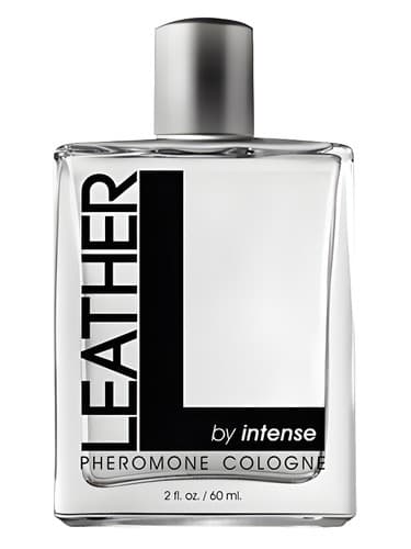 Leather - چرم
