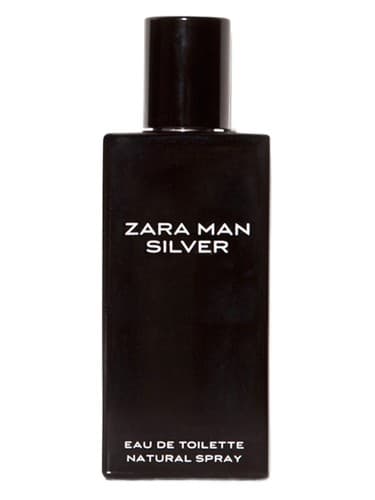 Zara Man Silver - زارا من سیلور