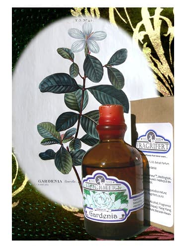 Gardenia