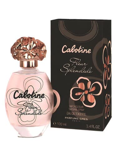Cabotine Fleur Splendide - کابوتین فلور اسپلندید