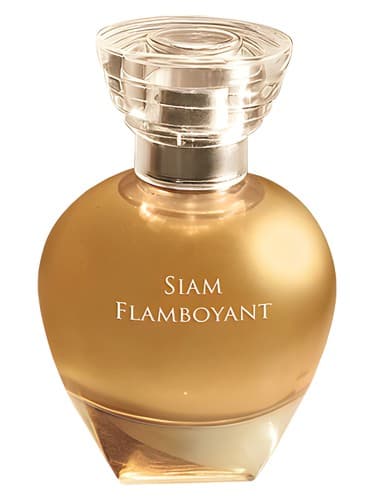 Siam Flamboyant - سیام فلامبویانت