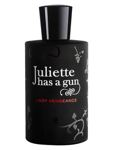 Lady Vengeance - لیدی ونجنس