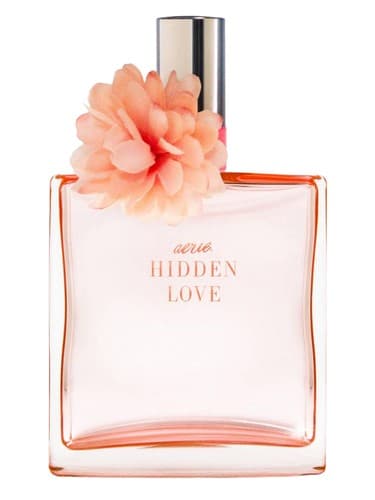 Hidden Love - لاو پنهان