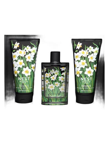 White Narcisse - نرگس وایت